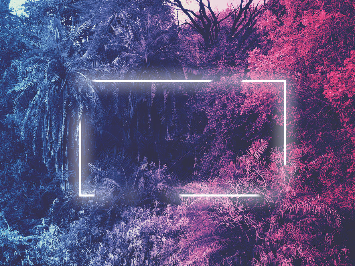 Neon Tropics 1
