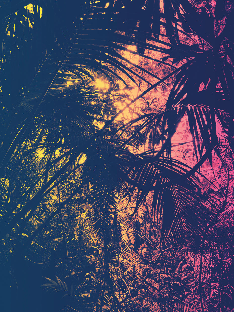 Neon Tropics 2