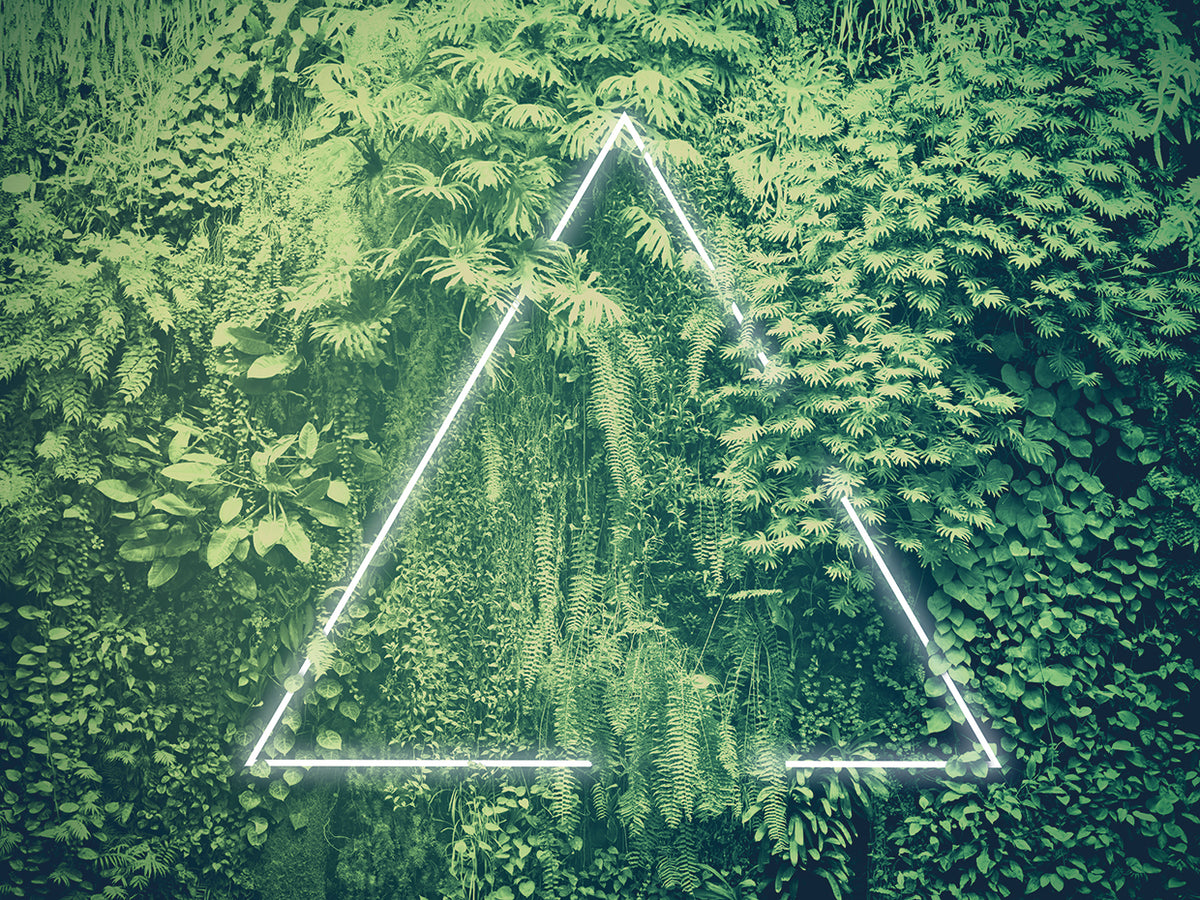 Neon Tropics 3