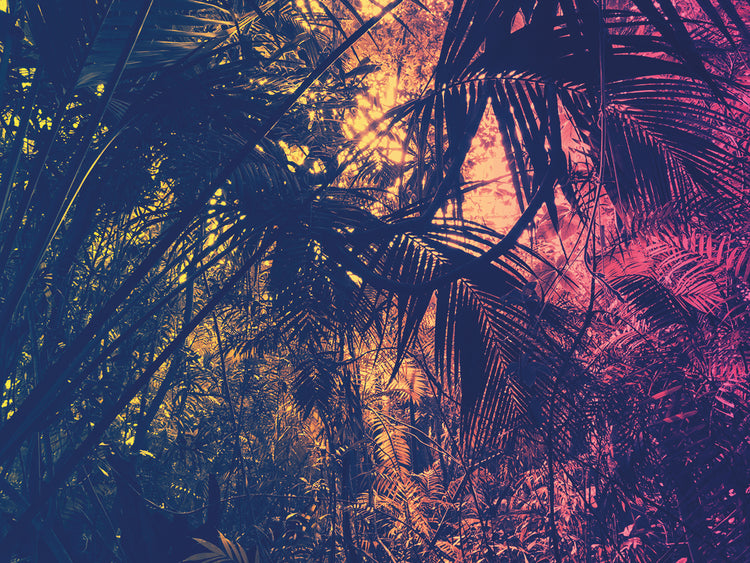Neon Tropics 4