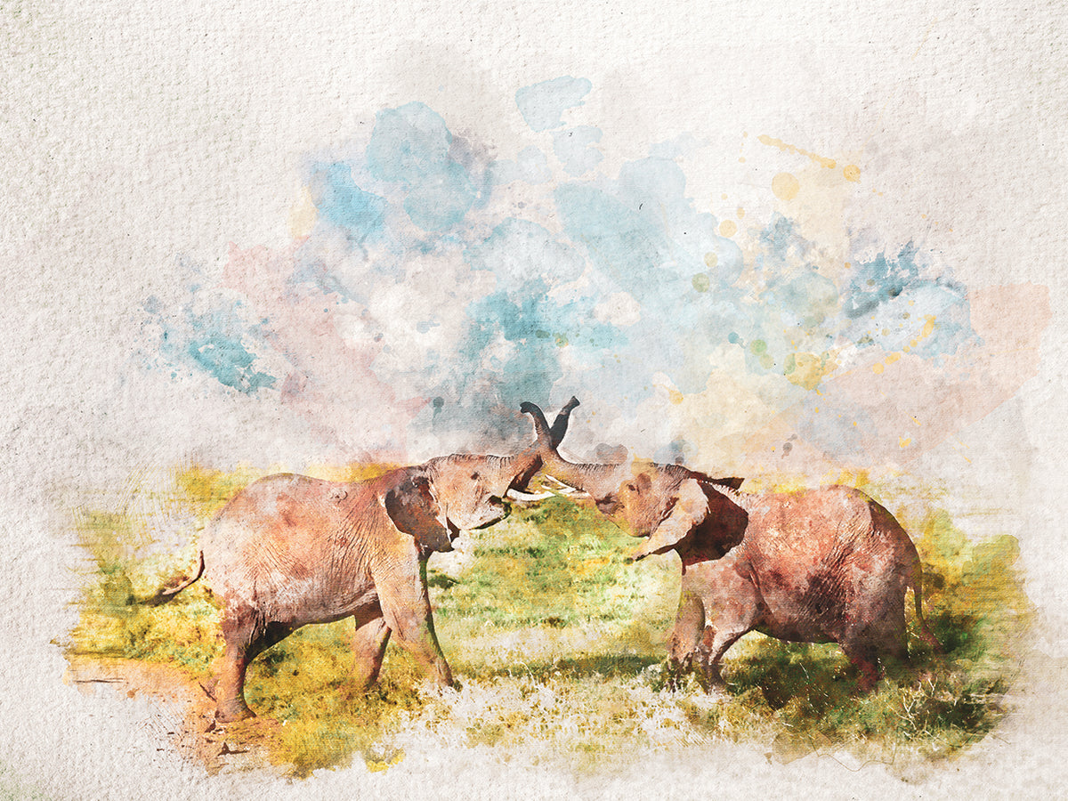 Watercolor Elephants