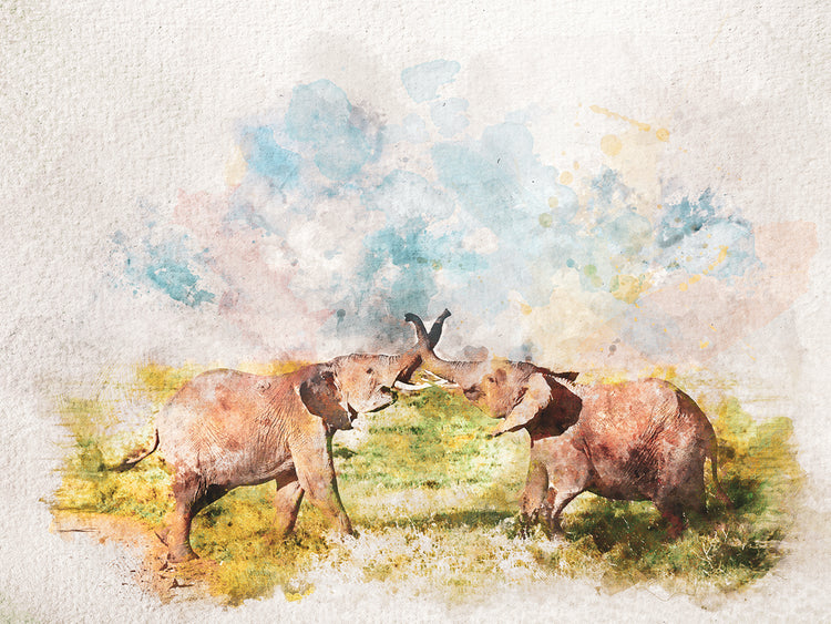 Watercolor Elephants