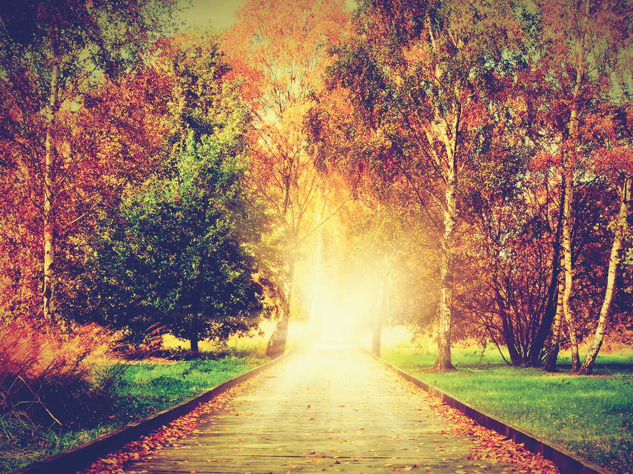 Vintage Light