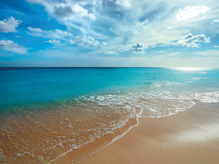 Turquoise Tranquility