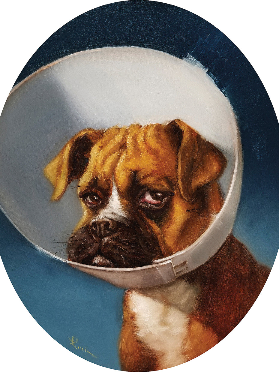 Cone of Shame