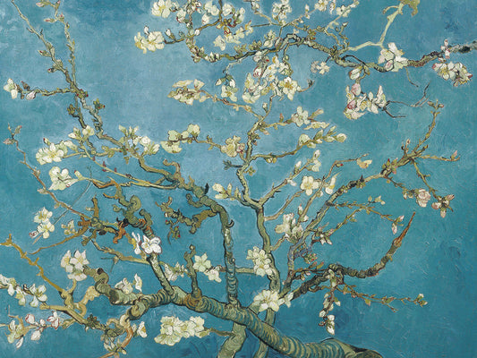 Almond Blossom (c.1890) Canvas Print