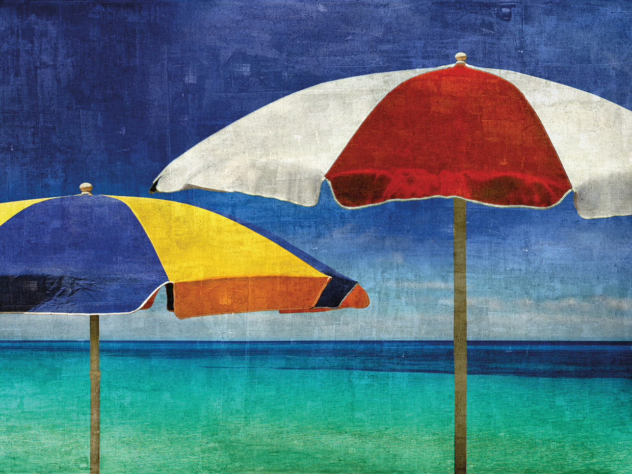 Beach Companions