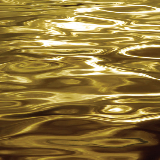 Liquid Gold Canvas Print