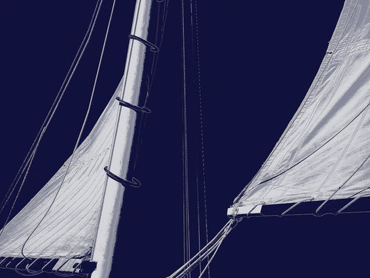 Schooner Sails II Canvas Print