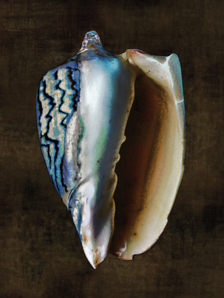Ocean Treasure I