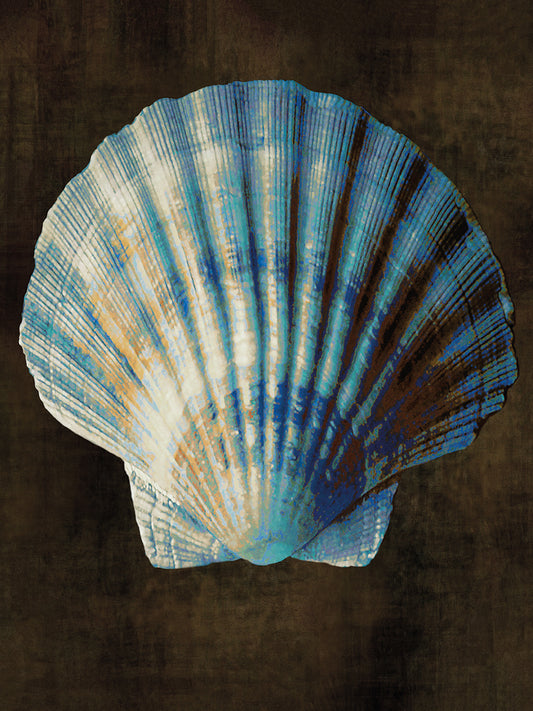 Ocean Treasure II Canvas Print