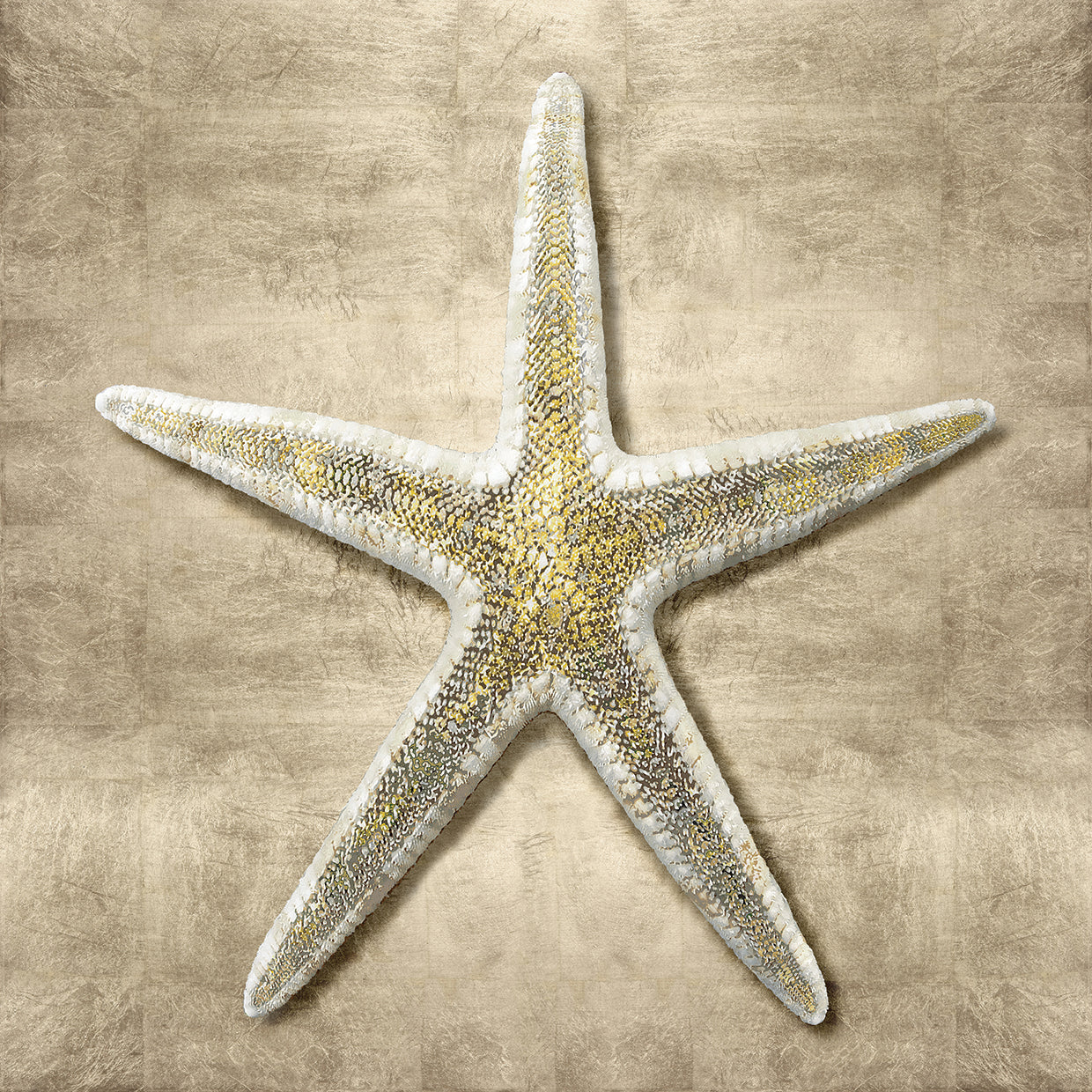 Golden Sea Life I