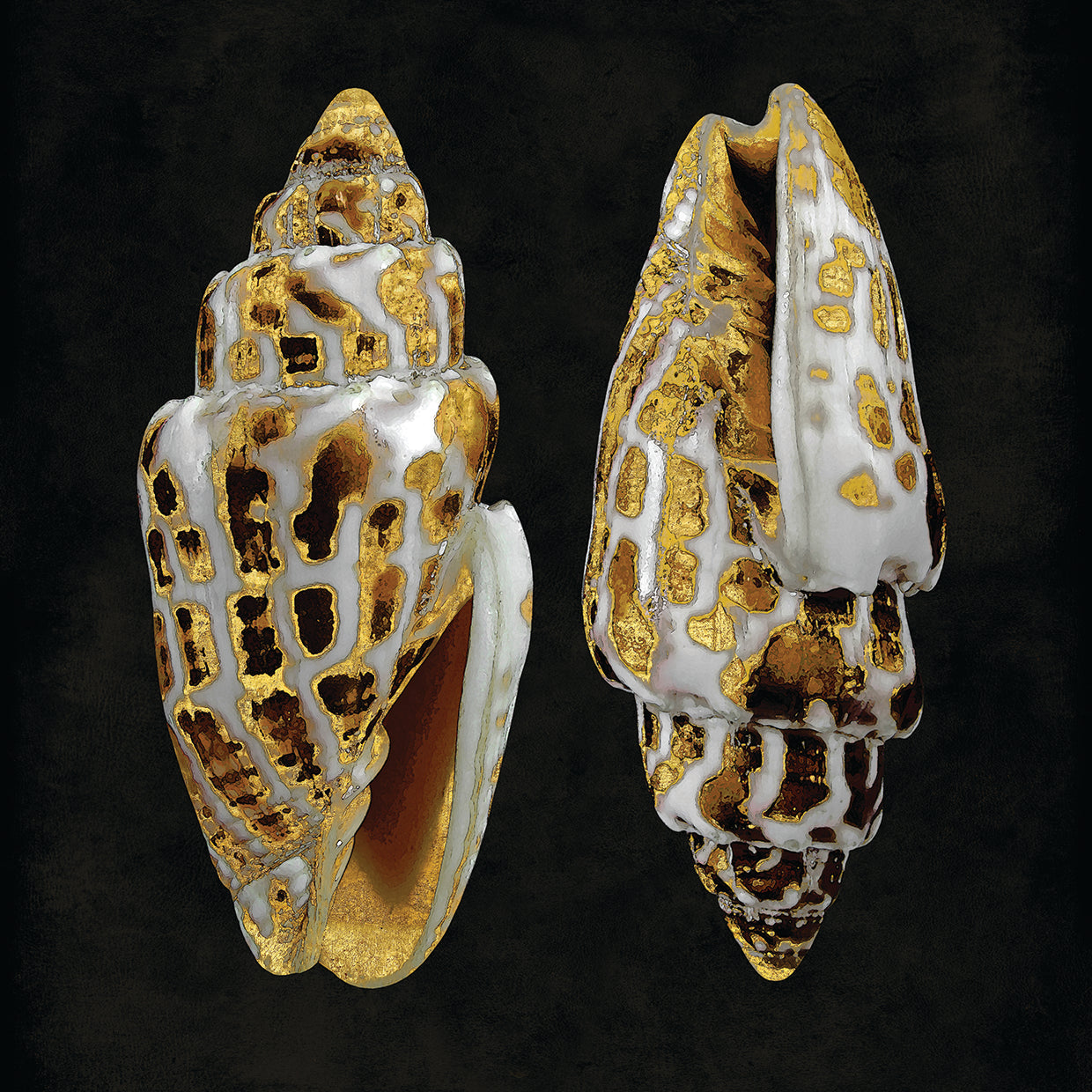 Golden Ocean Gems I