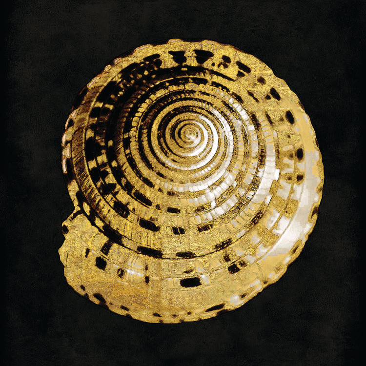 Golden Ocean Gems IV