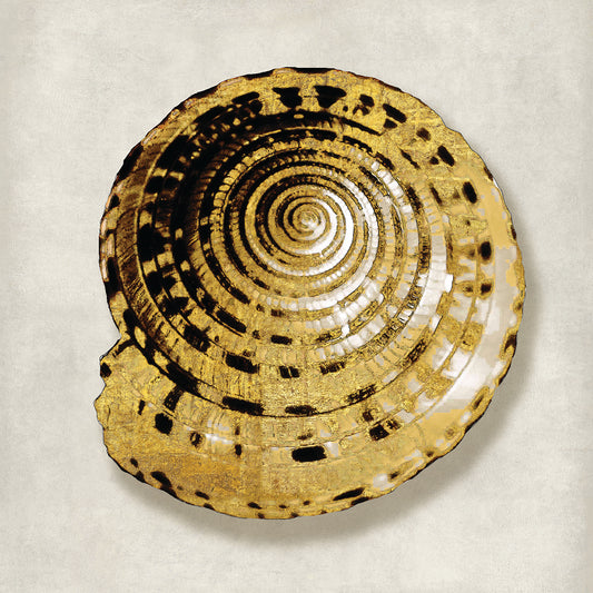 Golden Ocean Gems on Ivory IV Canvas Print