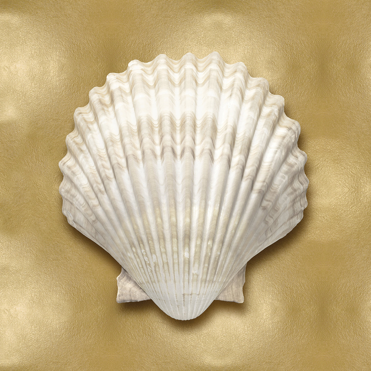 Ocean Gem on Gold IV