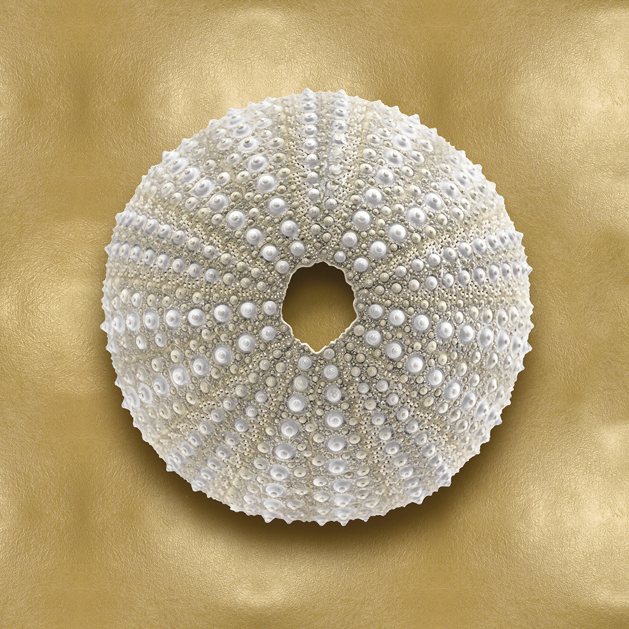 Ocean Gem on Gold V