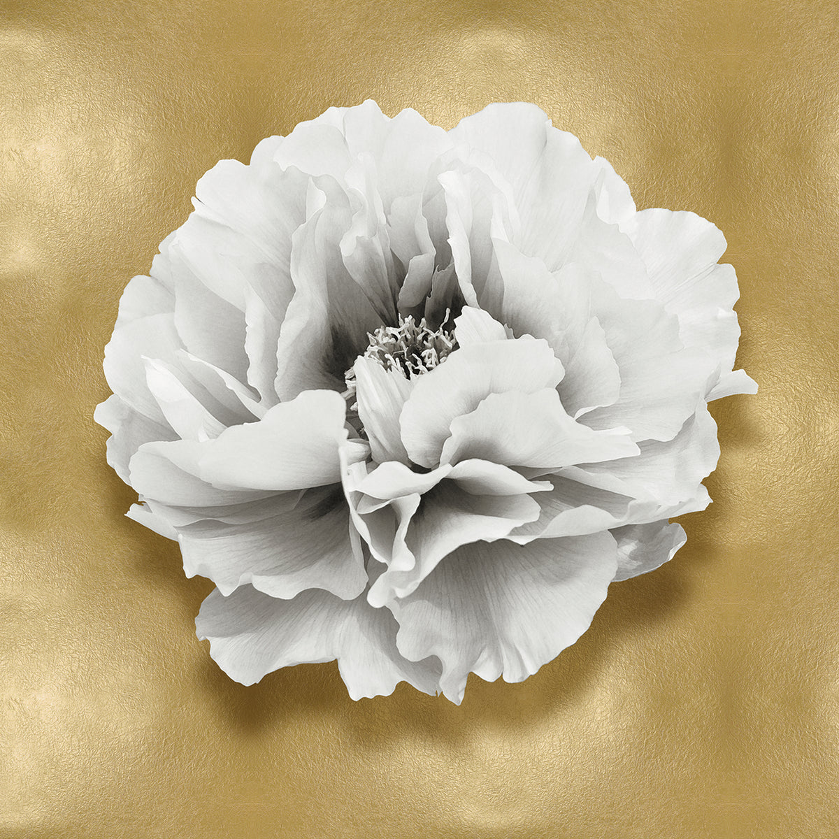 Pure III