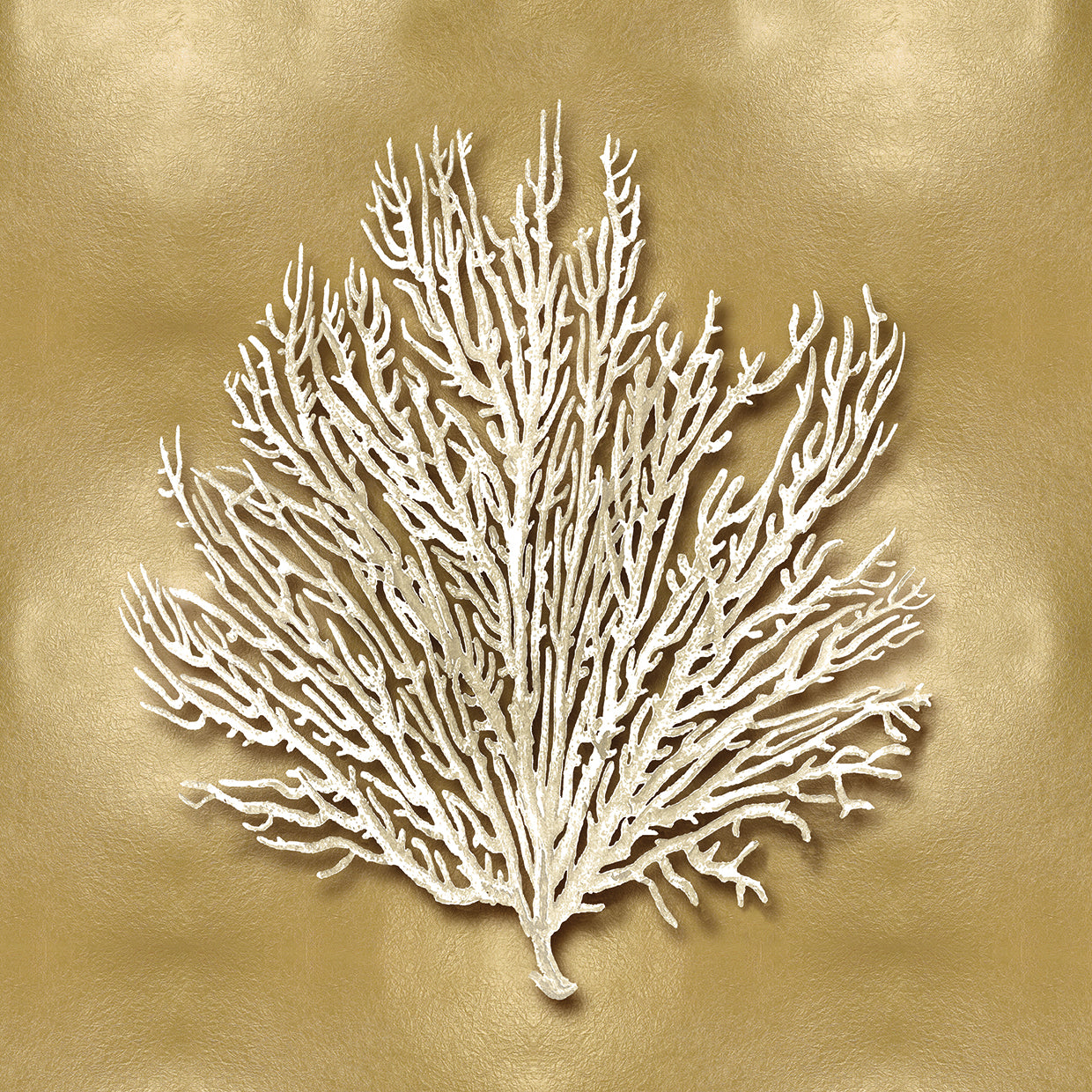 Sea Fan on Gold I