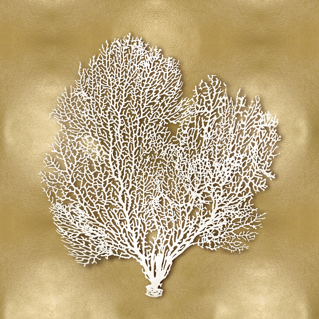Sea Fan on Gold II