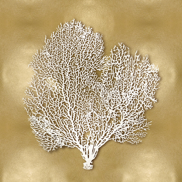 Sea Fan on Gold II