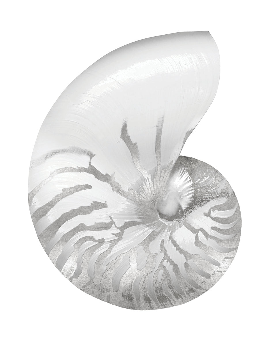 Silver Pearl Shell III