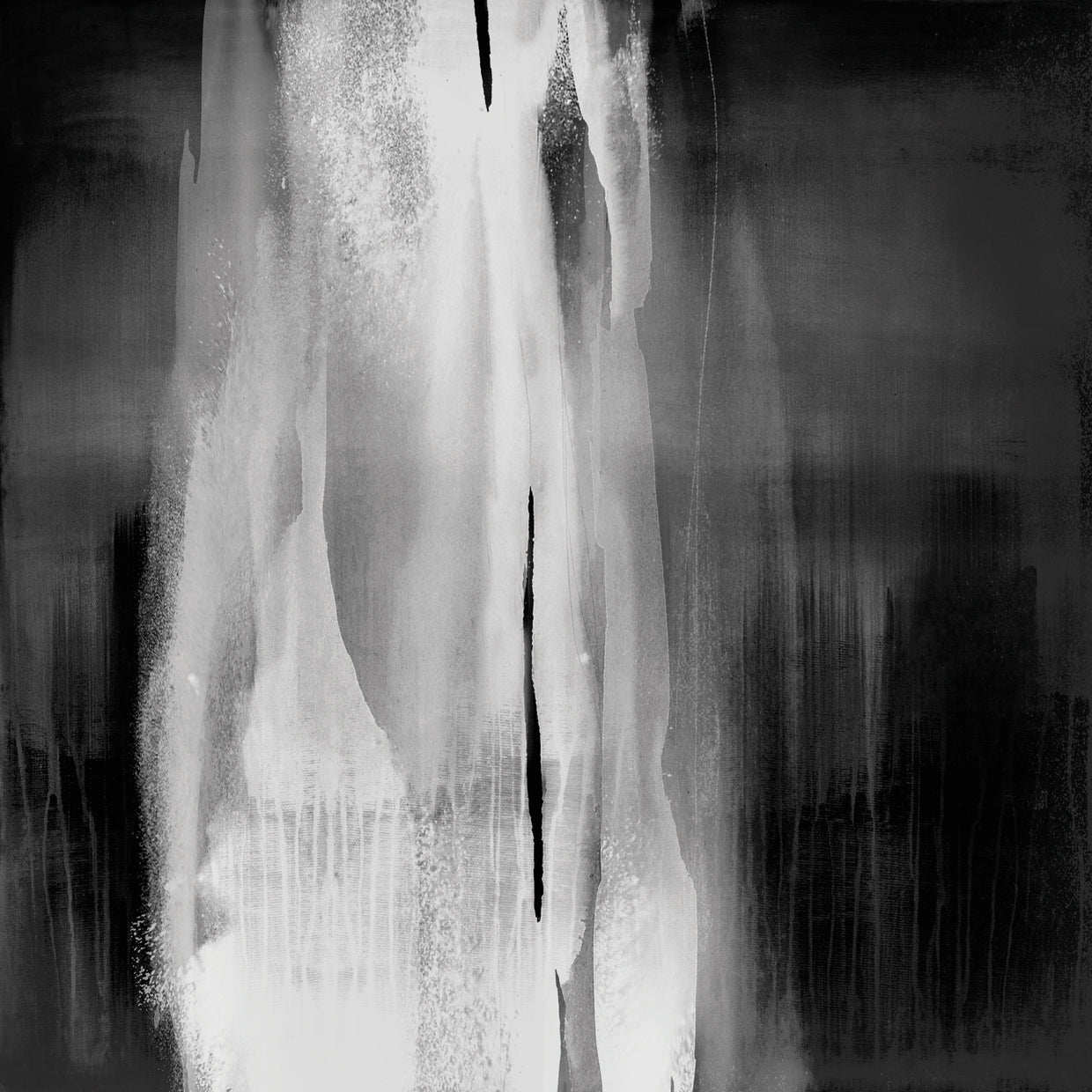 Free Fall Black and White I