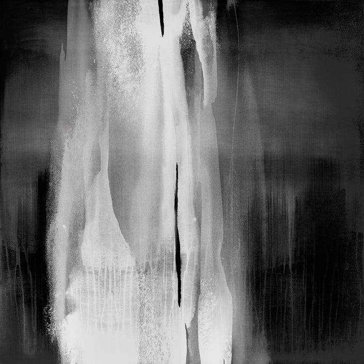 Free Fall Black and White I
