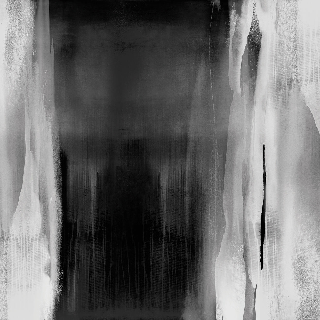 Free Fall Black and White II