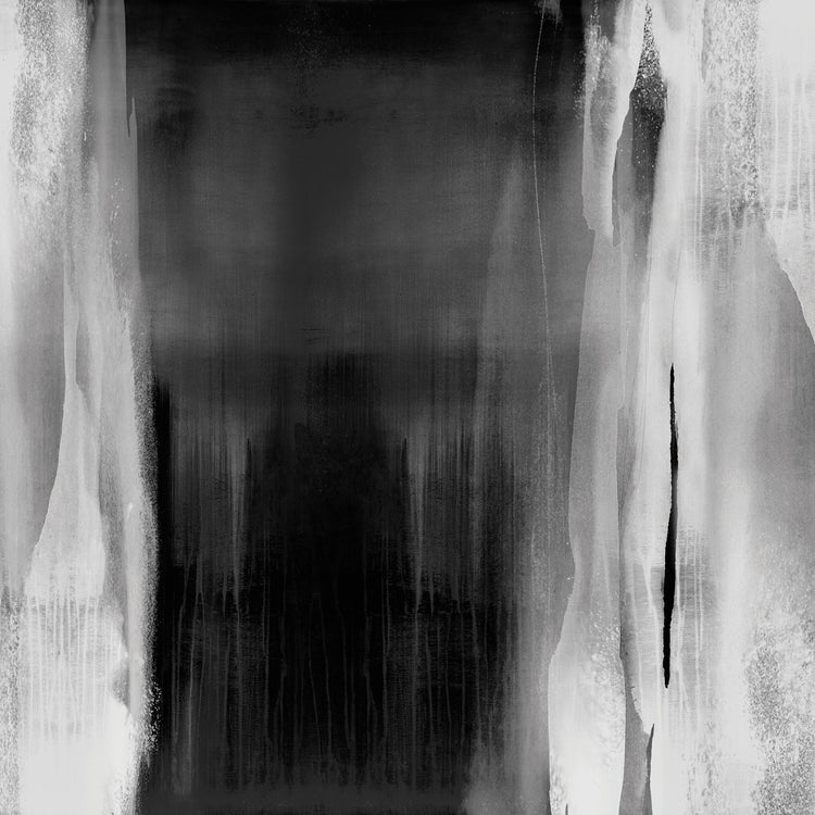 Free Fall Black and White II