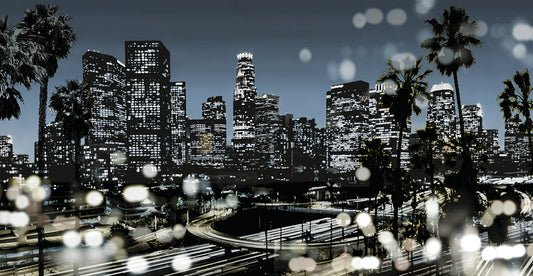 L.A. Nights II Canvas Print