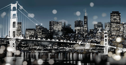The City-San Francisco