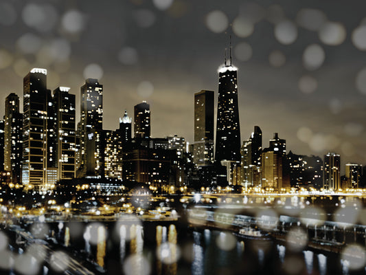 Chicago Nights II Canvas Print