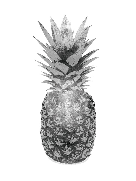 Pineapple Gray II Canvas Print