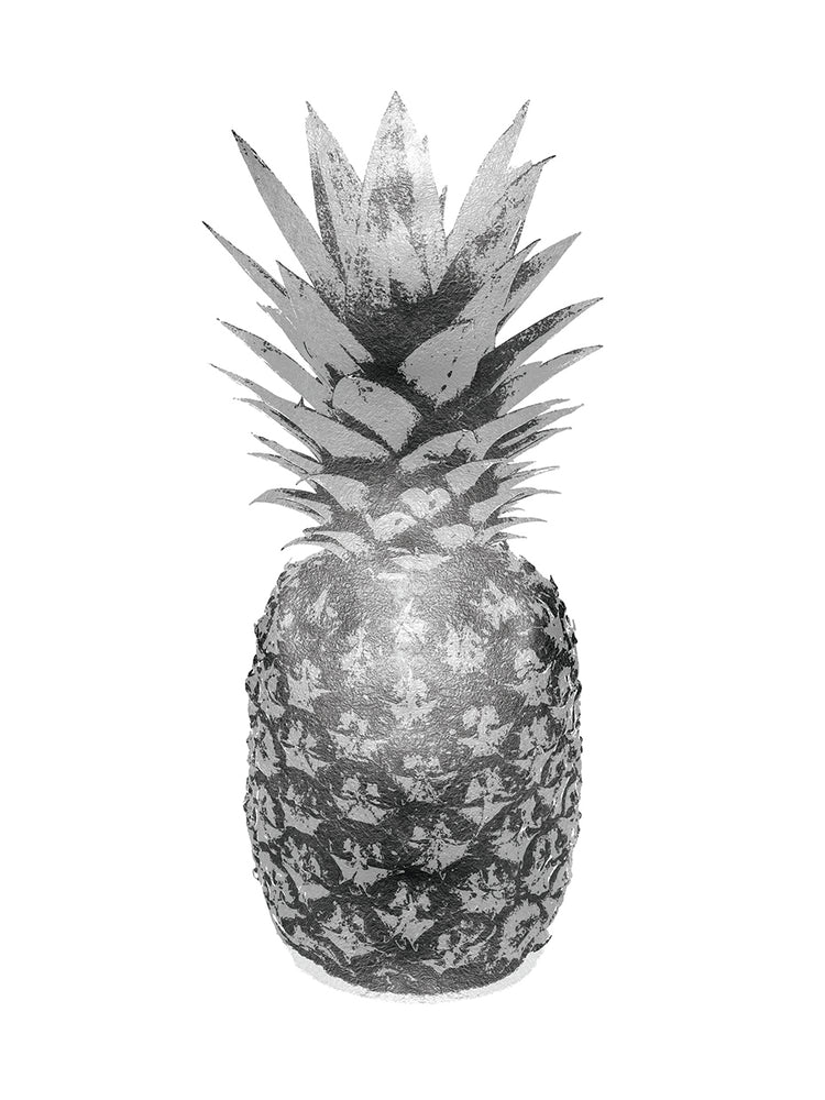 Piña Gris II Lienzo