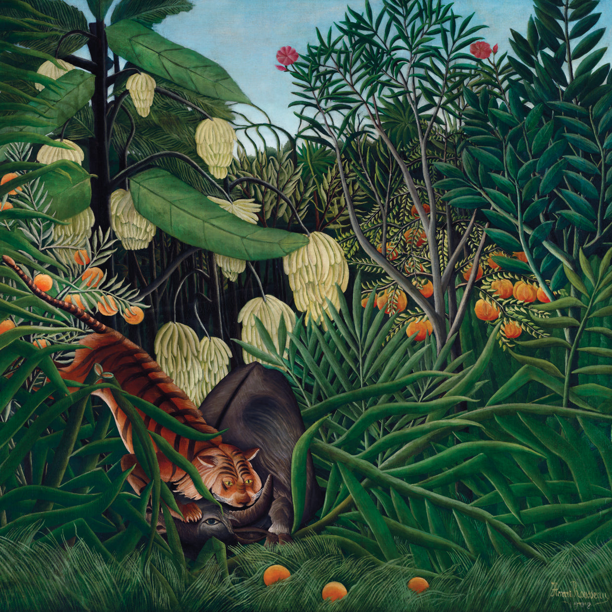 Fight between a Tiger and a Buffalo (1908)