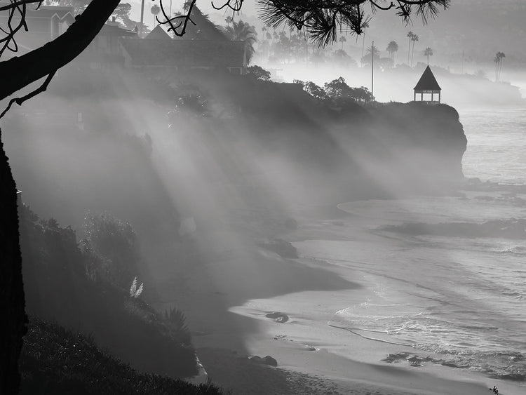 Black and White Sunbeams