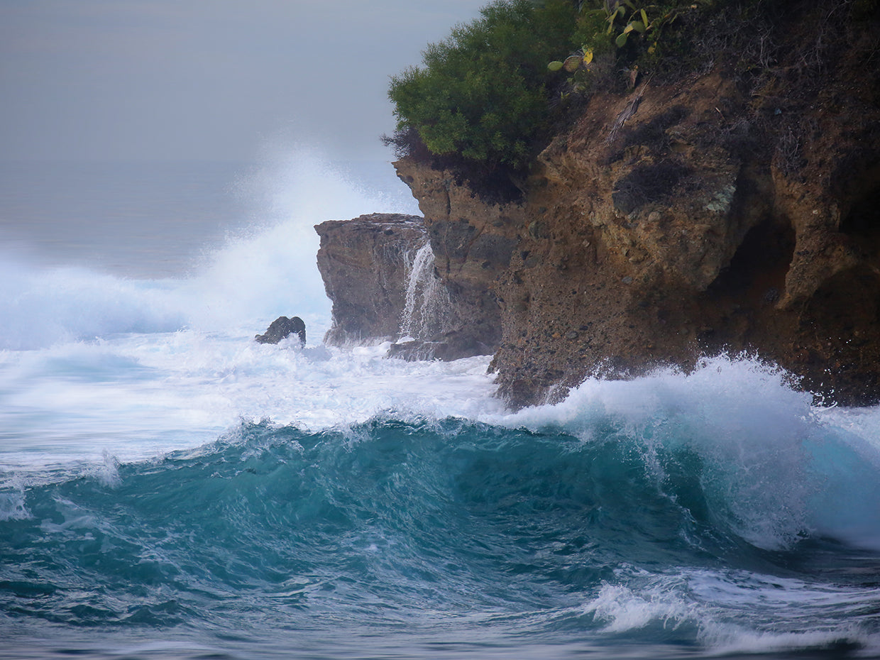 Rough Day at the Beach