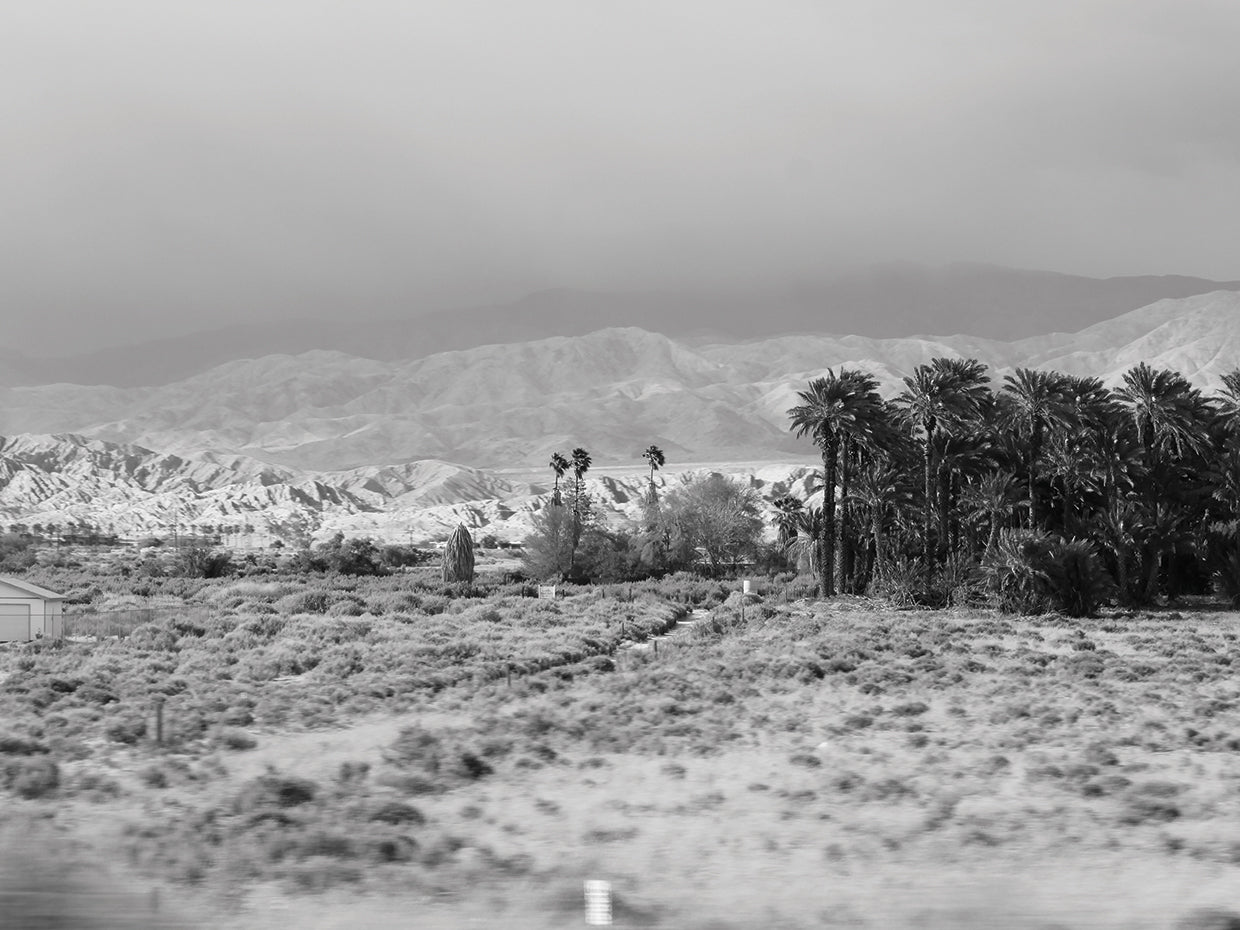 Desert in Black and White