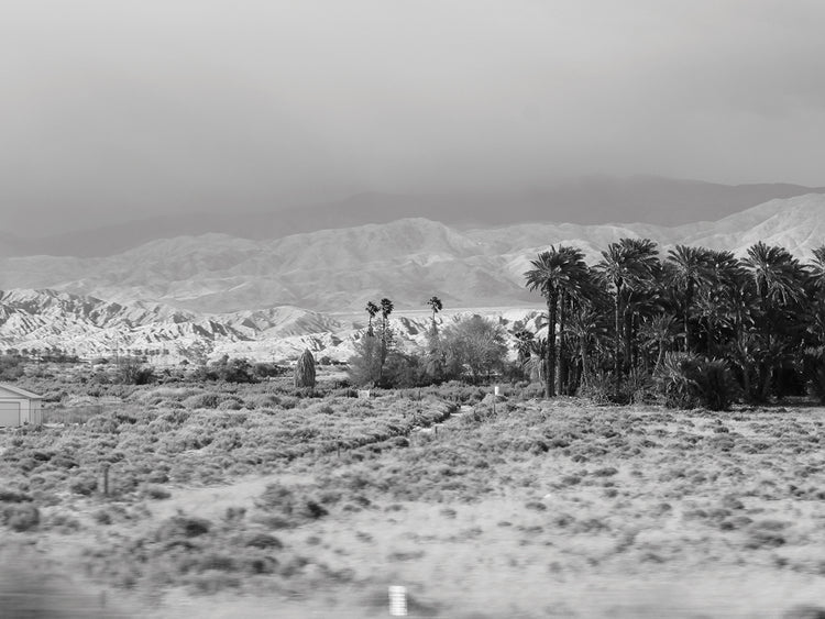 Desert in Black and White