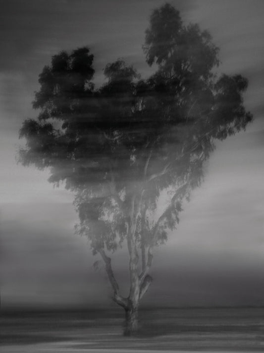 Top Heavy Tree Canvas Print