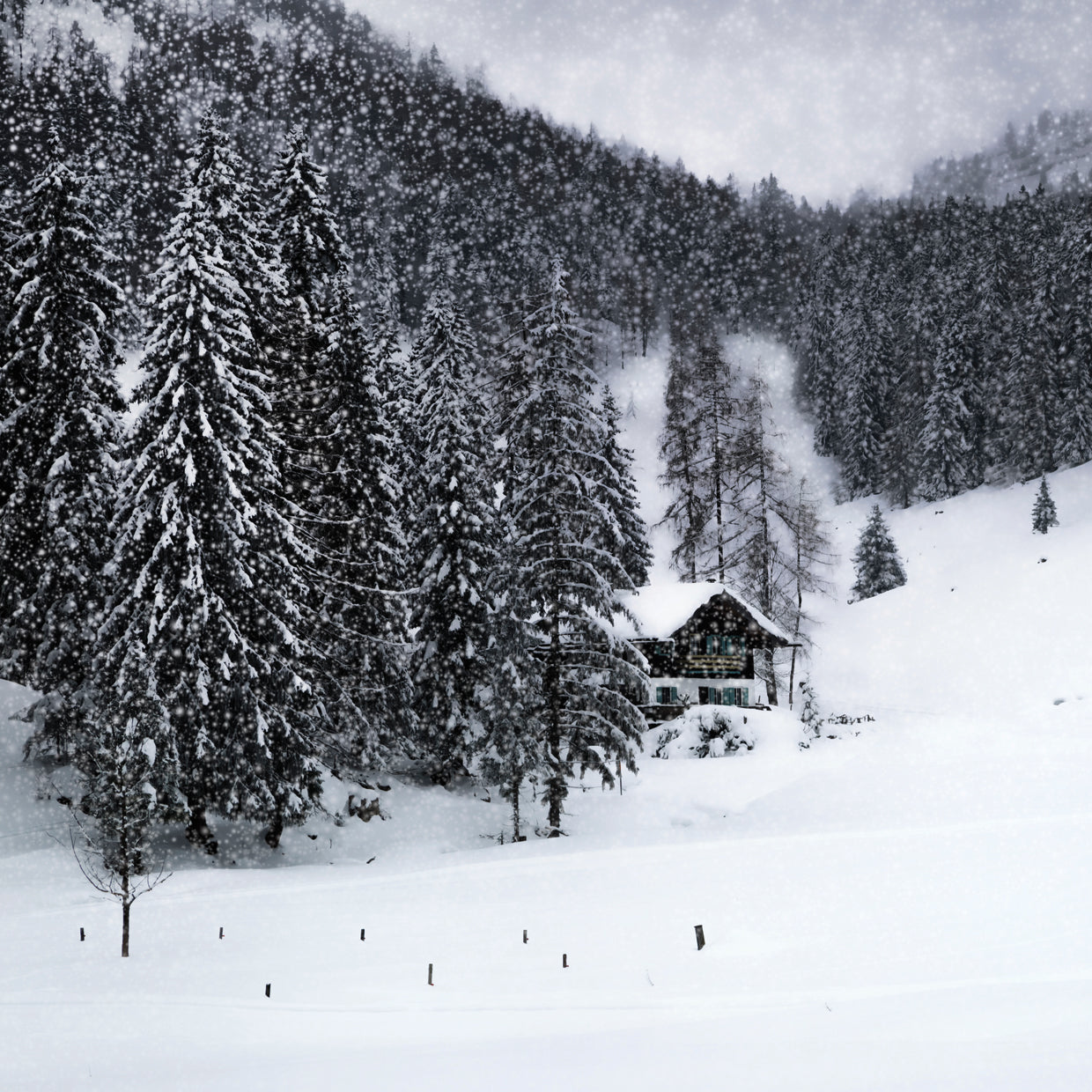 Bavarian Winter's Tale IX