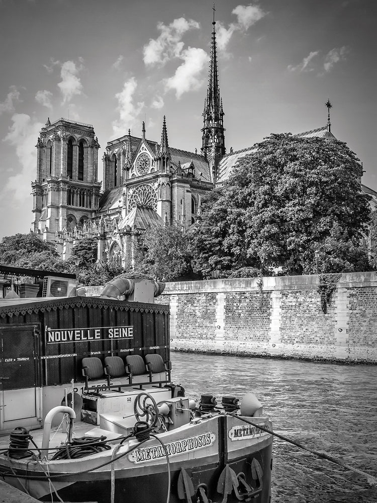PARIS Cathedral Notre-Dame & Seine Riverside