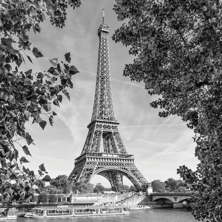 PARIS Monochrome Eiffel Tower with River Seine