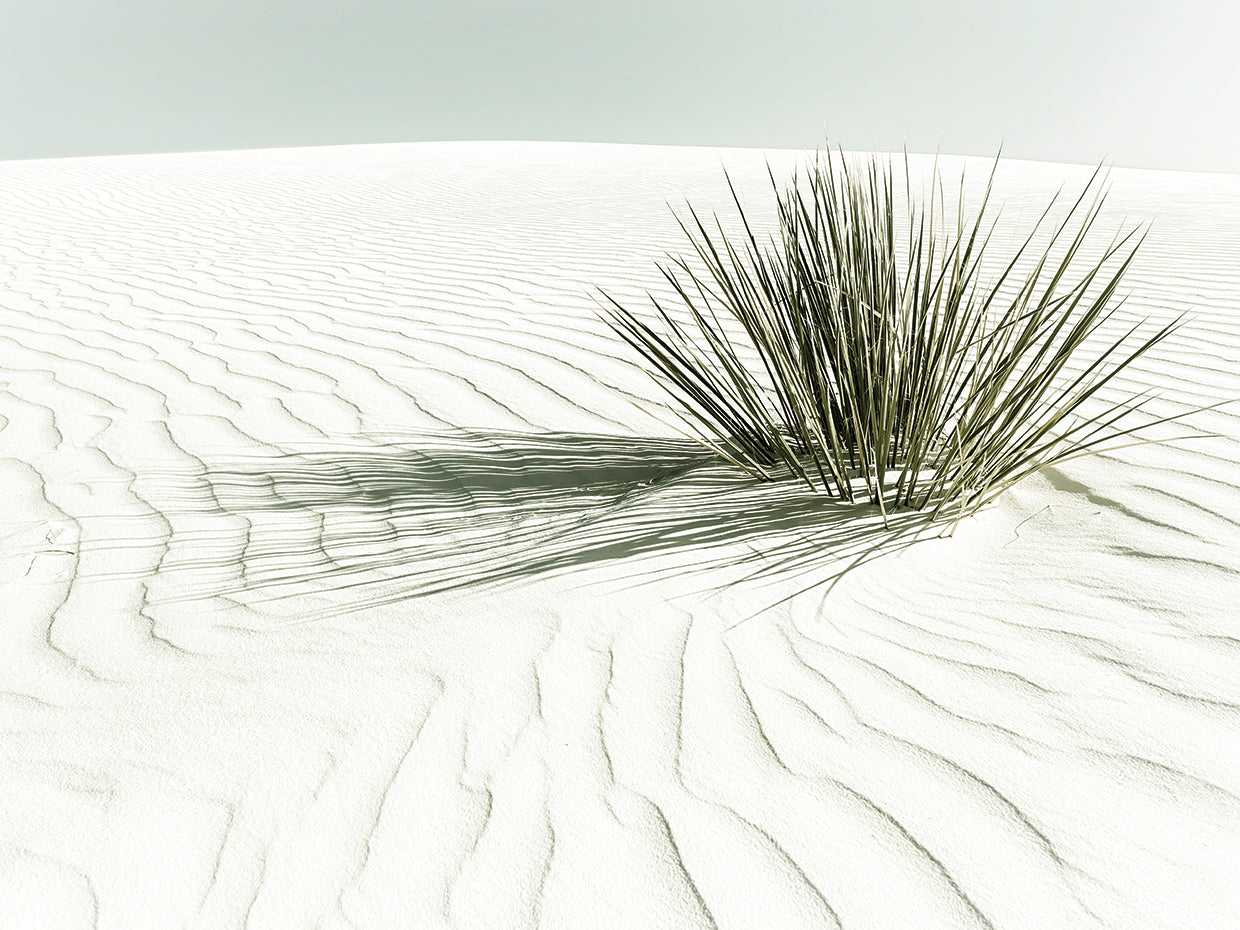 WHITE SANDS Vintage Dune