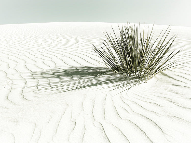 WHITE SANDS Vintage Dune