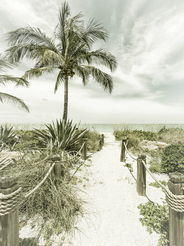 Vintage path to the beach