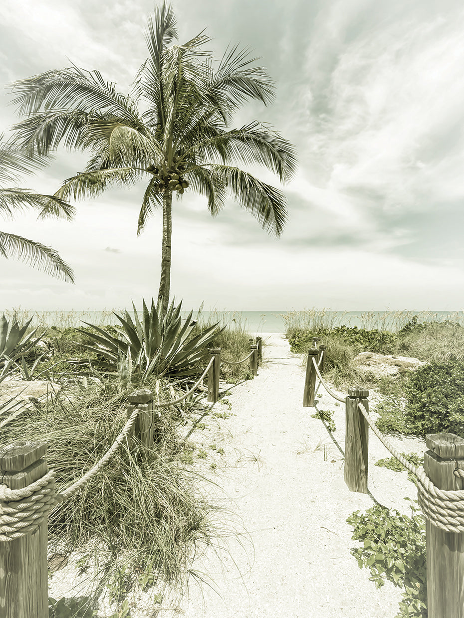 Vintage path to the beach
