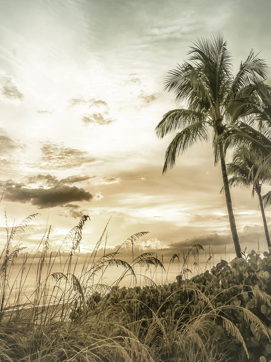 BONITA BEACH Vintage Sunset