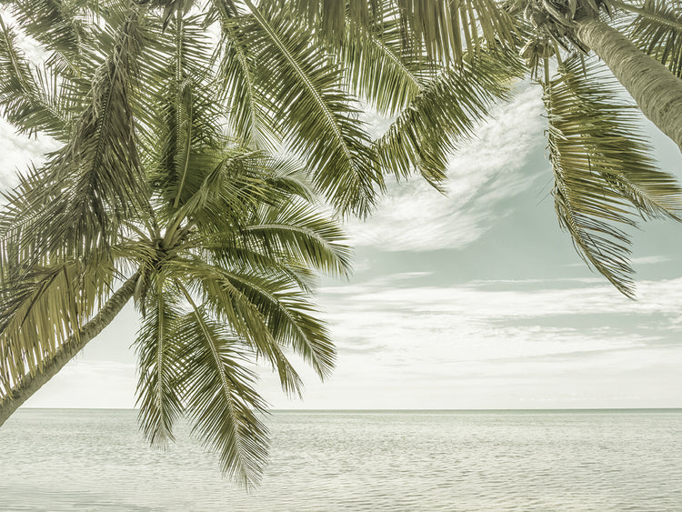 FLORIDA Vintage Oceanview